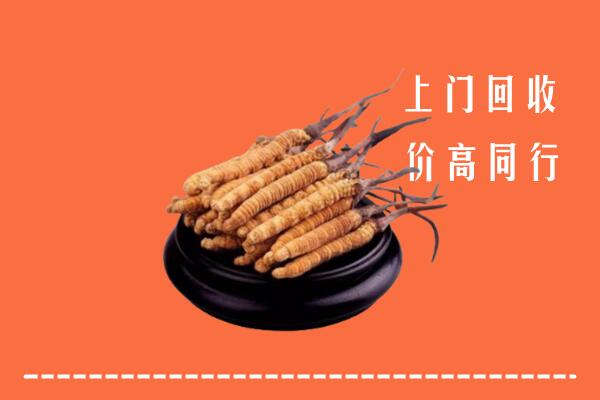 高价求购：广陵回收散虫草