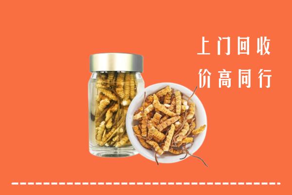 收购行情：广陵回收冬虫夏草