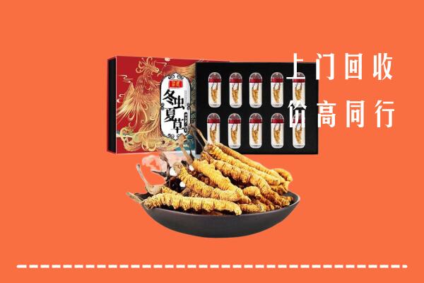 广陵回收虫草